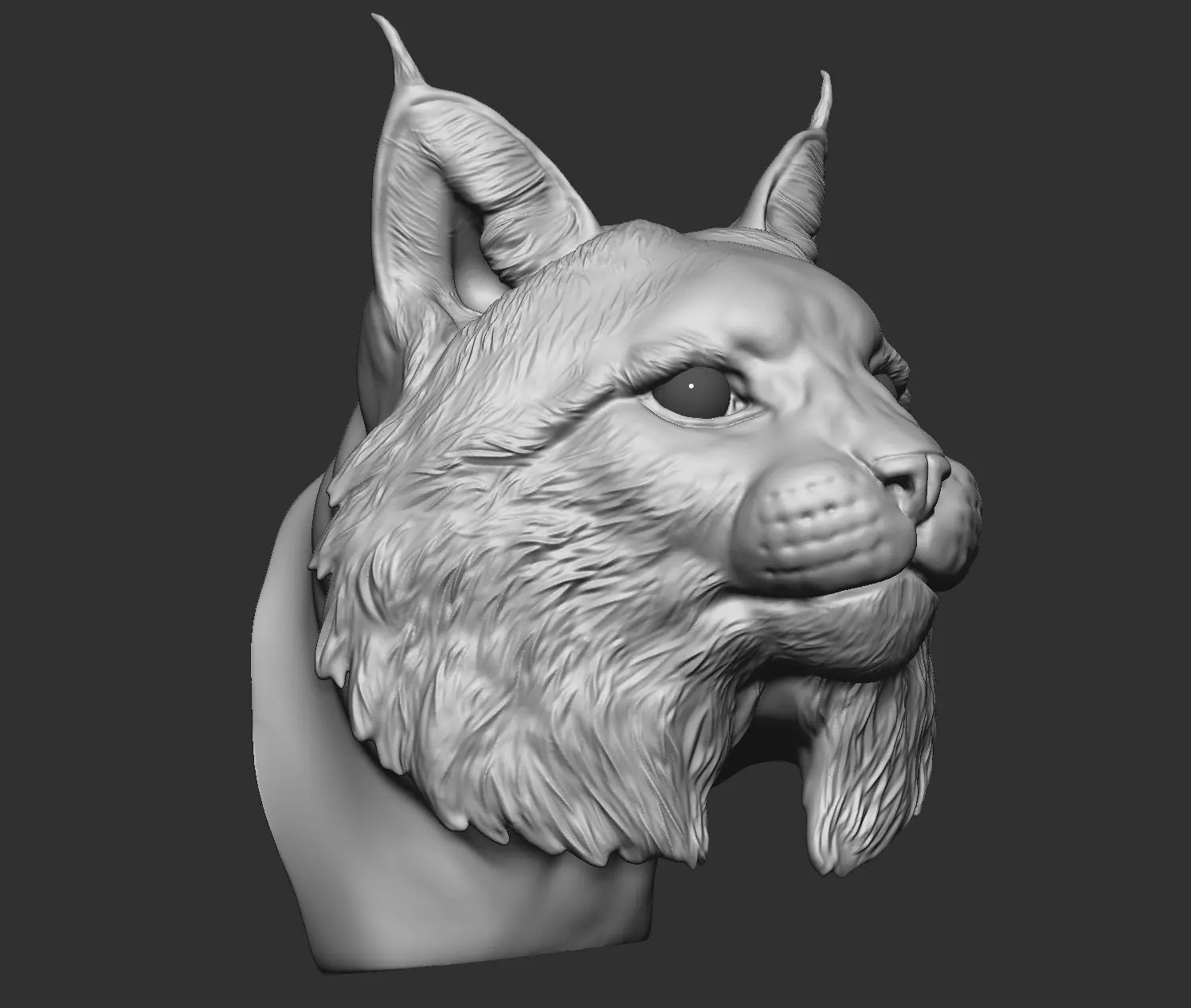 Bobcat Bust  3D print model_0