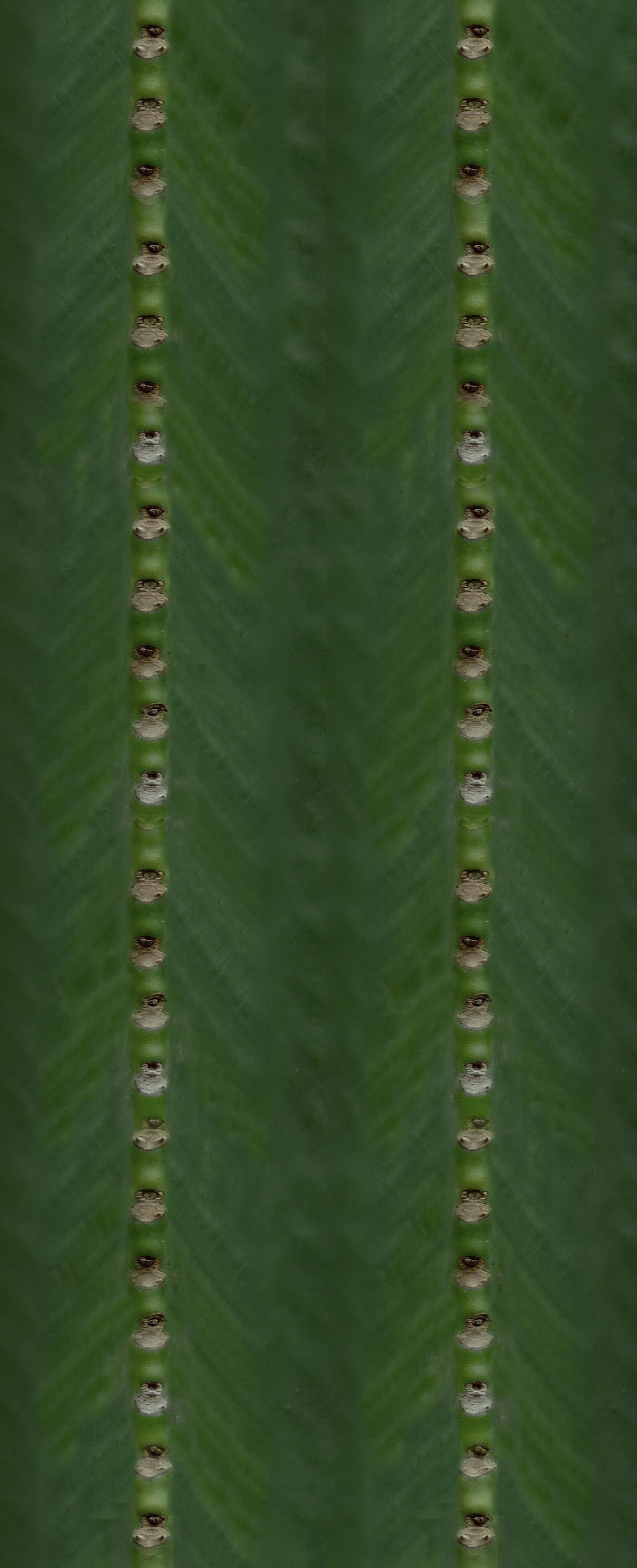 Living Room Scene 3D model_23