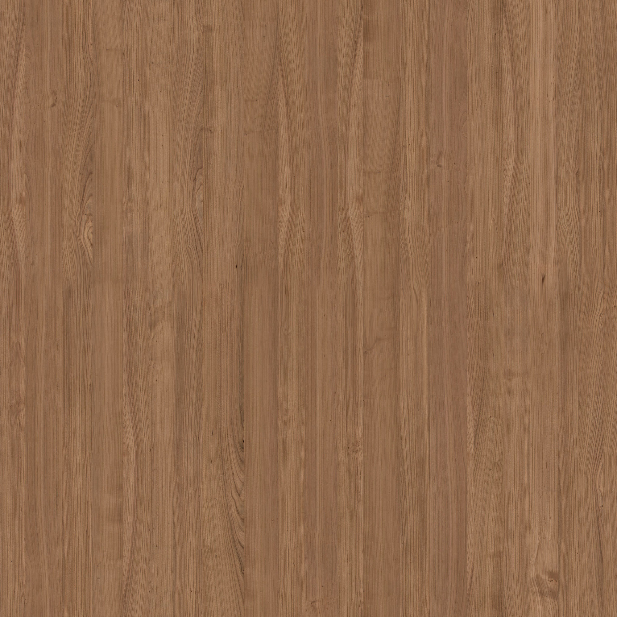 Living Room Scene 3D model_15