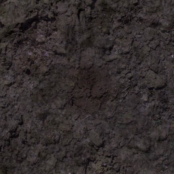 Living Room Scene 3D model_22