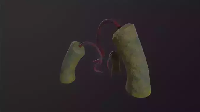 Alien Flora 3D Model Low-poly 3D model