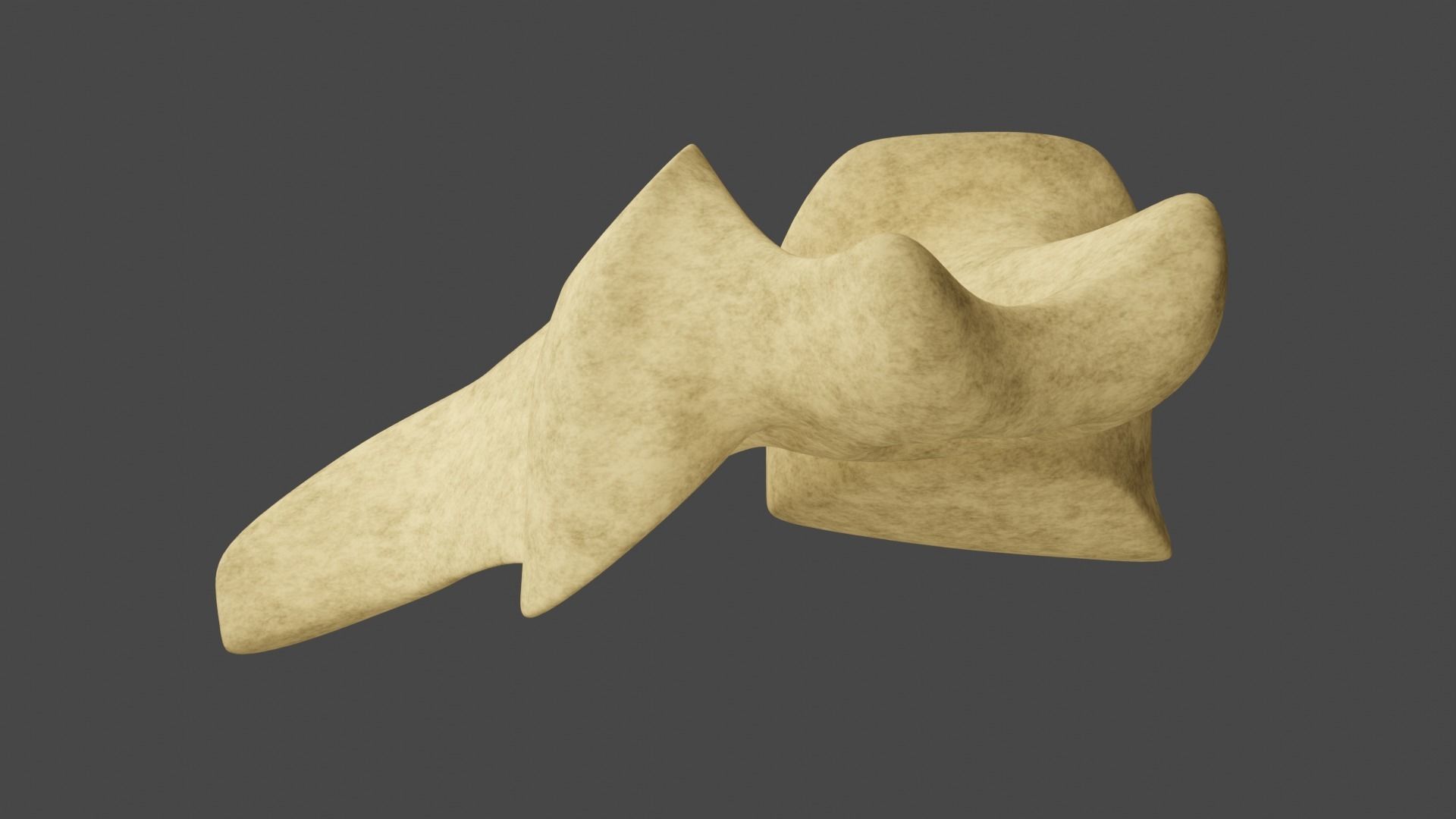 The Fourth Cervical Vertebra 3D model_4