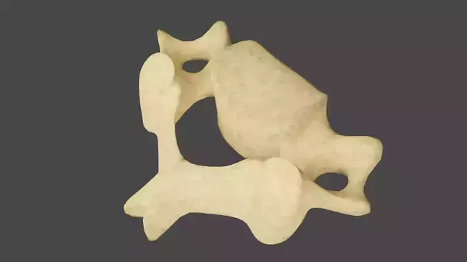 The Fourth Cervical Vertebra