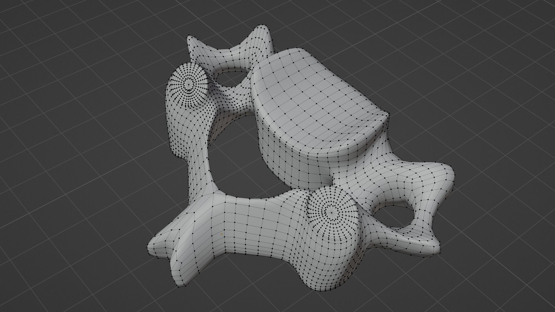 The Fourth Cervical Vertebra 3D model_6