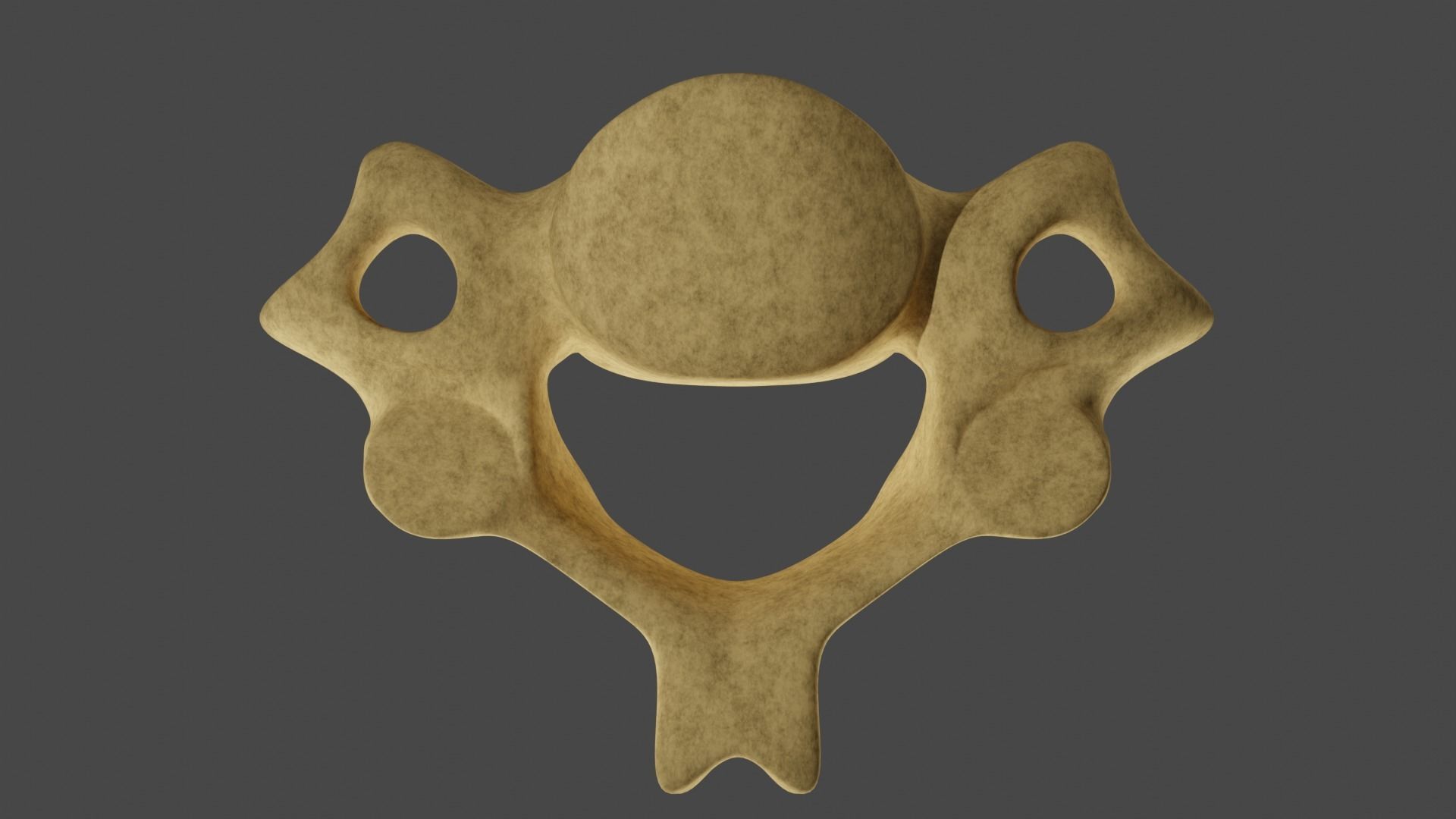 The Fourth Cervical Vertebra 3D model_5