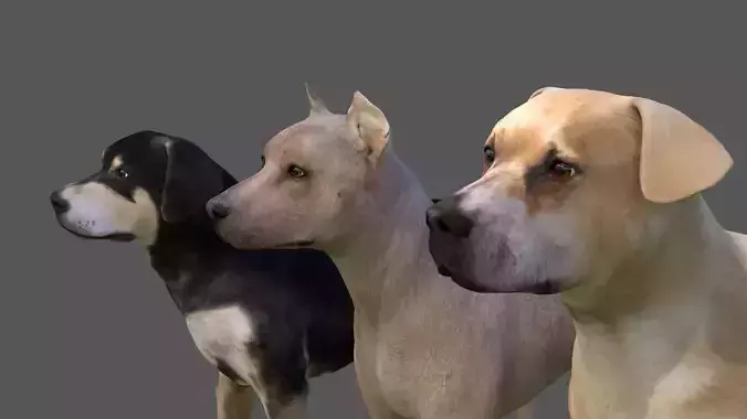 Stray Dogs Collection  Low-poly 3D model