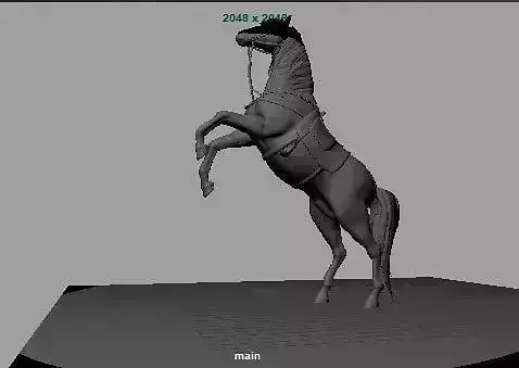 horse standing on his two back feet animation