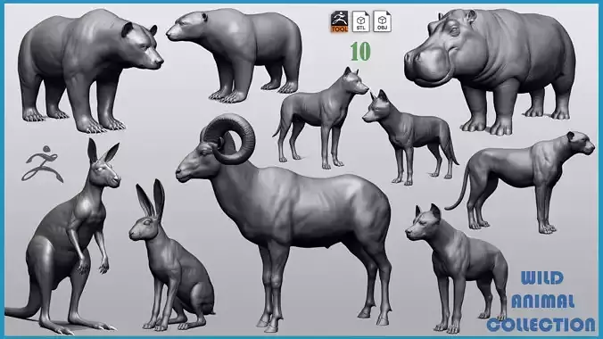 Wild animal collection  10 animals  VOL 2 3D model