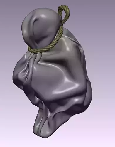 The girl was tied up in a bag