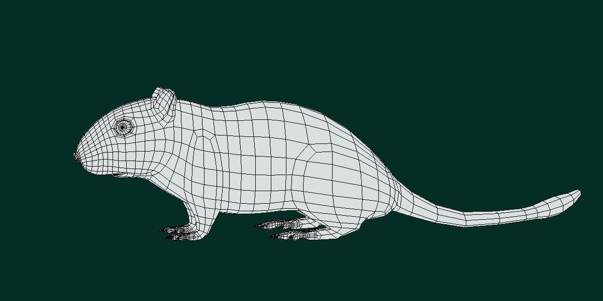 Mongolian Gerbil Rat Rodent Low-poly 3D model_14