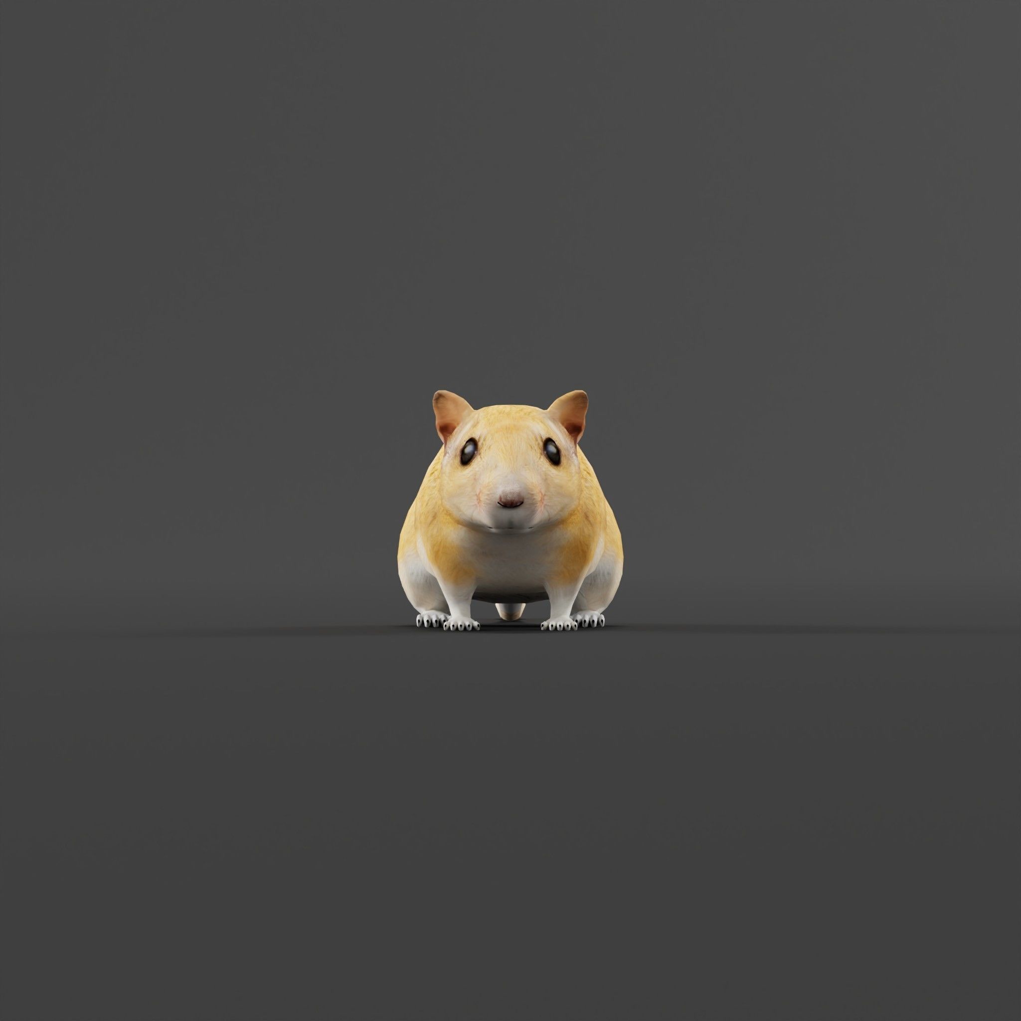 Mongolian Gerbil Rat Rodent Low-poly 3D model_2