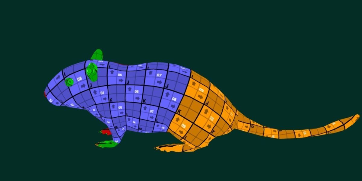 Mongolian Gerbil Rat Rodent Low-poly 3D model_16