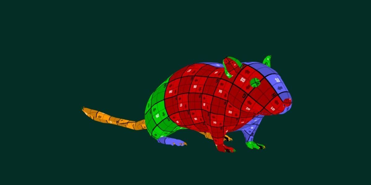 Mongolian Gerbil Rat Rodent Low-poly 3D model_17