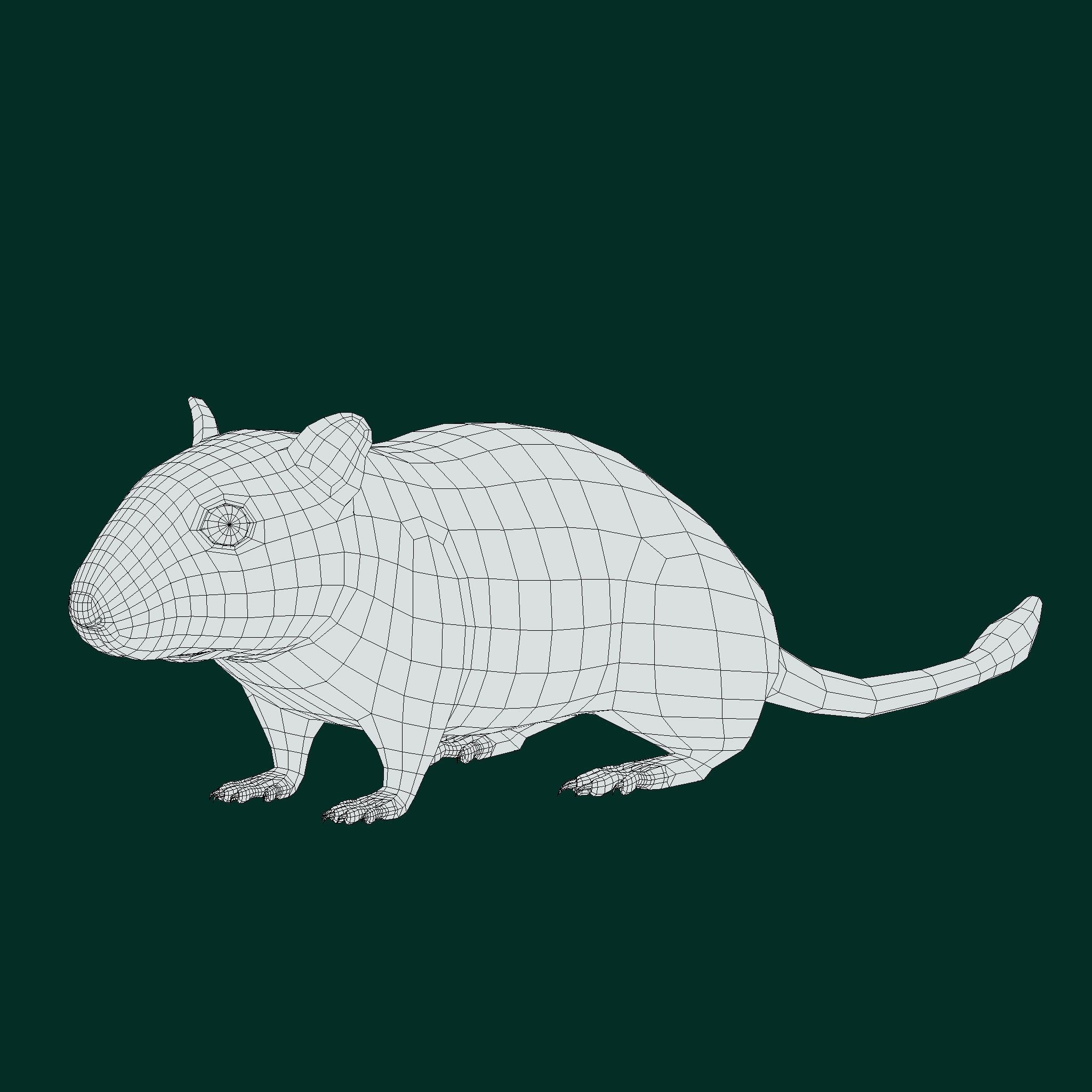 Mongolian Gerbil Rat Rodent Low-poly 3D model_28