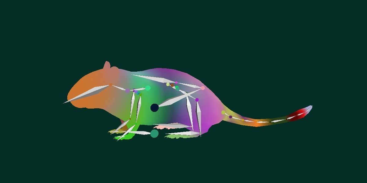 Mongolian Gerbil Rat Rodent Low-poly 3D model_20