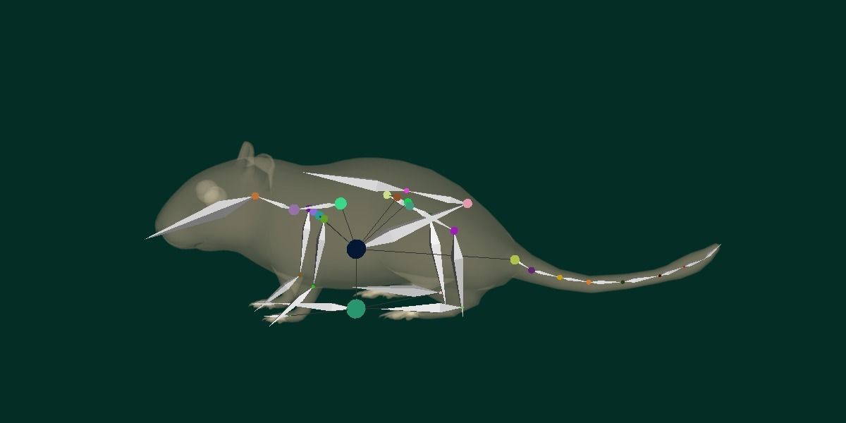 Mongolian Gerbil Rat Rodent Low-poly 3D model_19