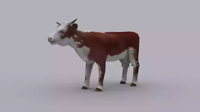 COW GAME READY ANIMATED MODEL Low-poly 3D model
