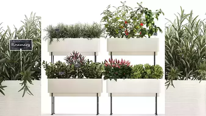 Kitchen garden vegetables tomatoes and rosemary 1417 3D model