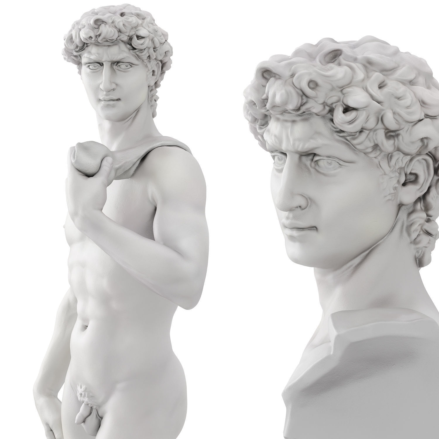Statue and bust of David 3D model_8