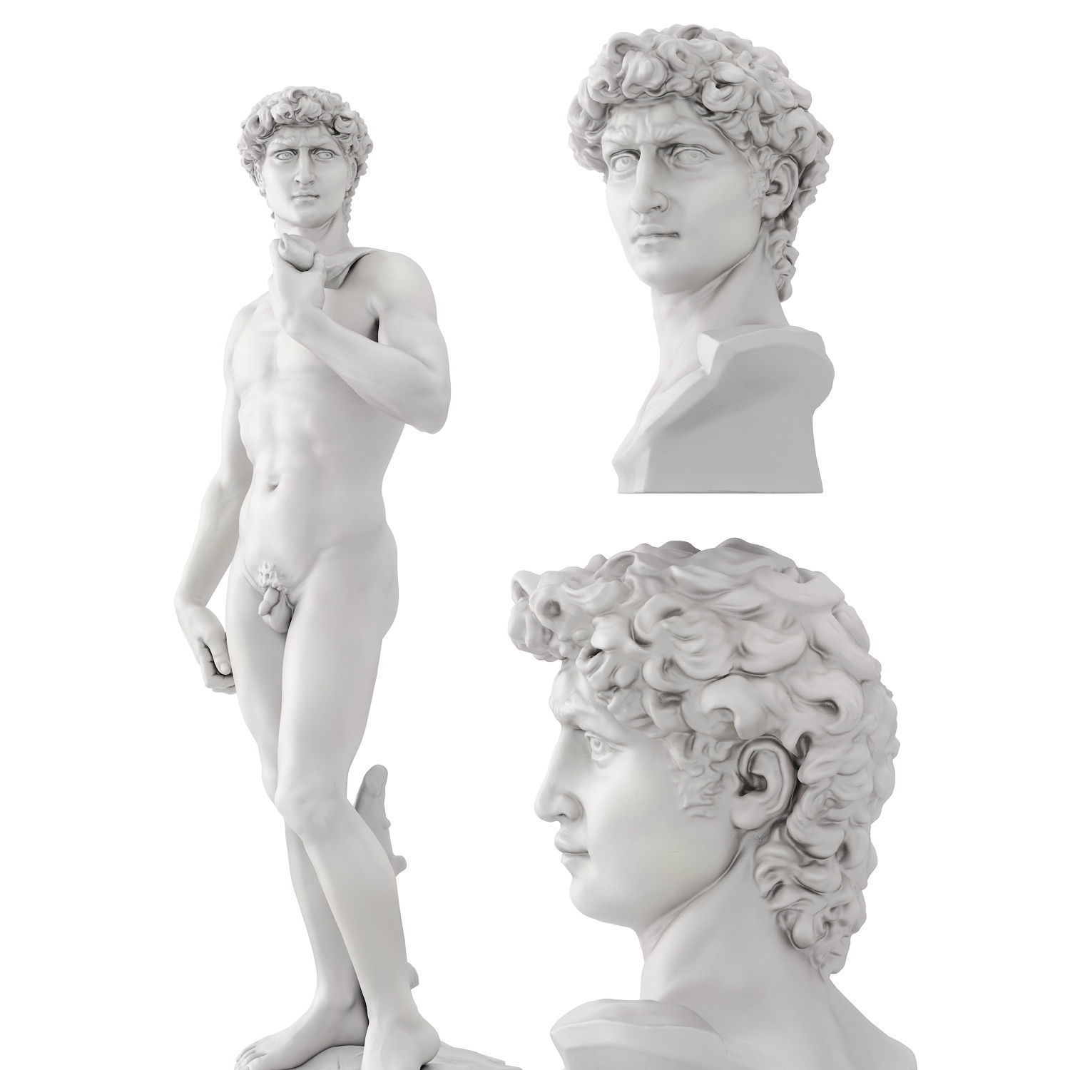 Statue and bust of David 3D model_6