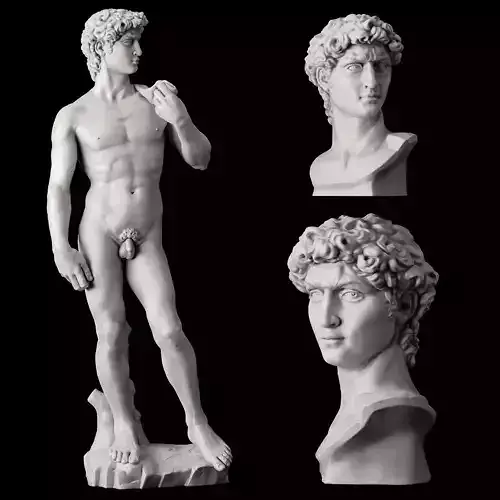 Statue and bust of David 3D model