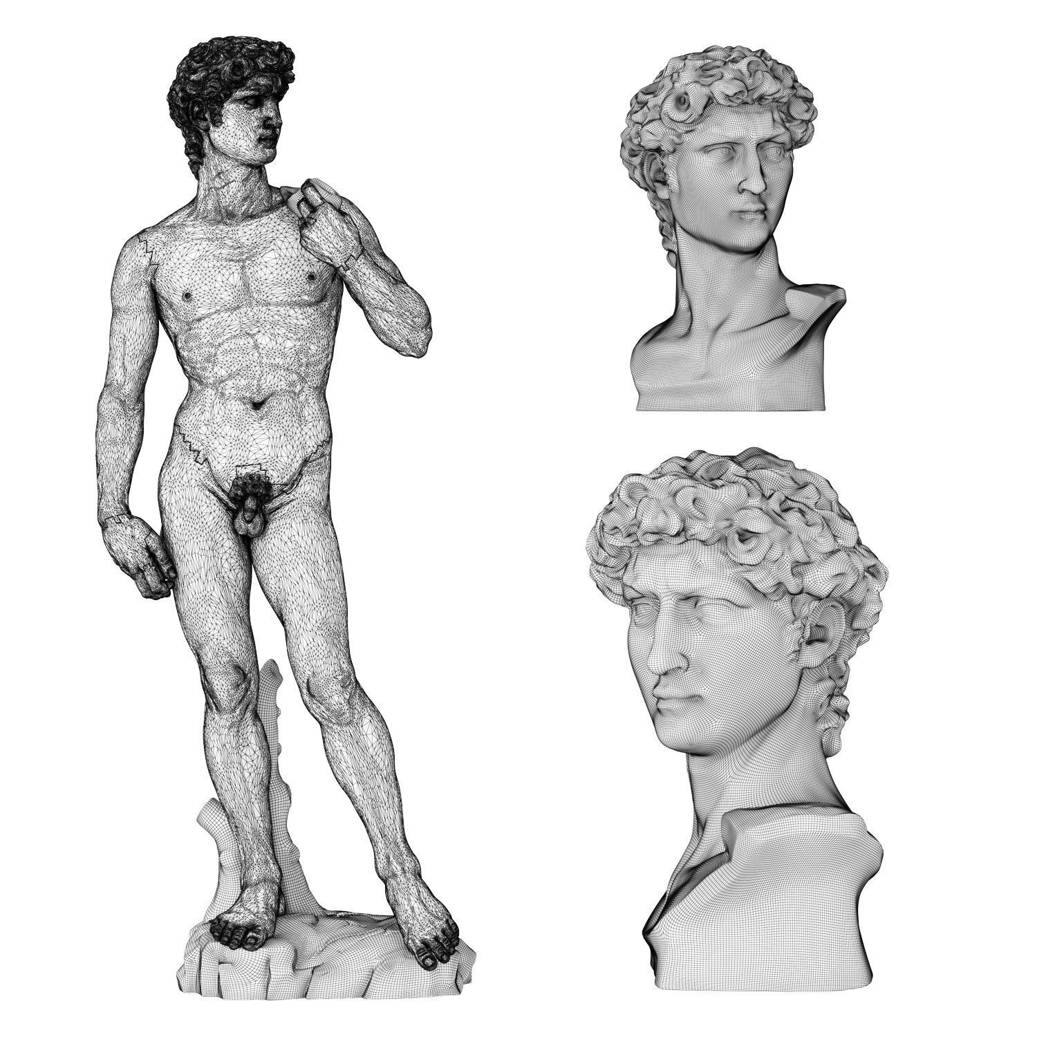 Statue and bust of David 3D model_9