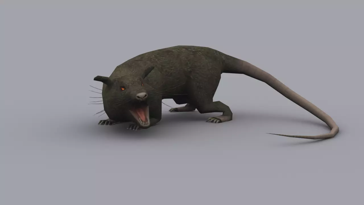 GIANT RAT GAME READY ANIMATED MODEL Low-poly 3D model
