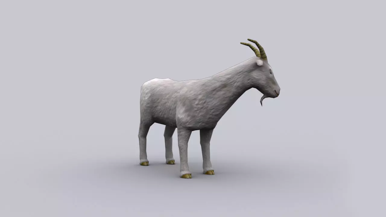 GOAT GAME READY ANIMATED MODEL Low-poly 3D model_0