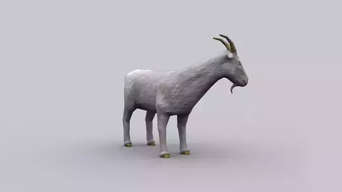 GOAT GAME READY ANIMATED MODEL Low-poly 3D model