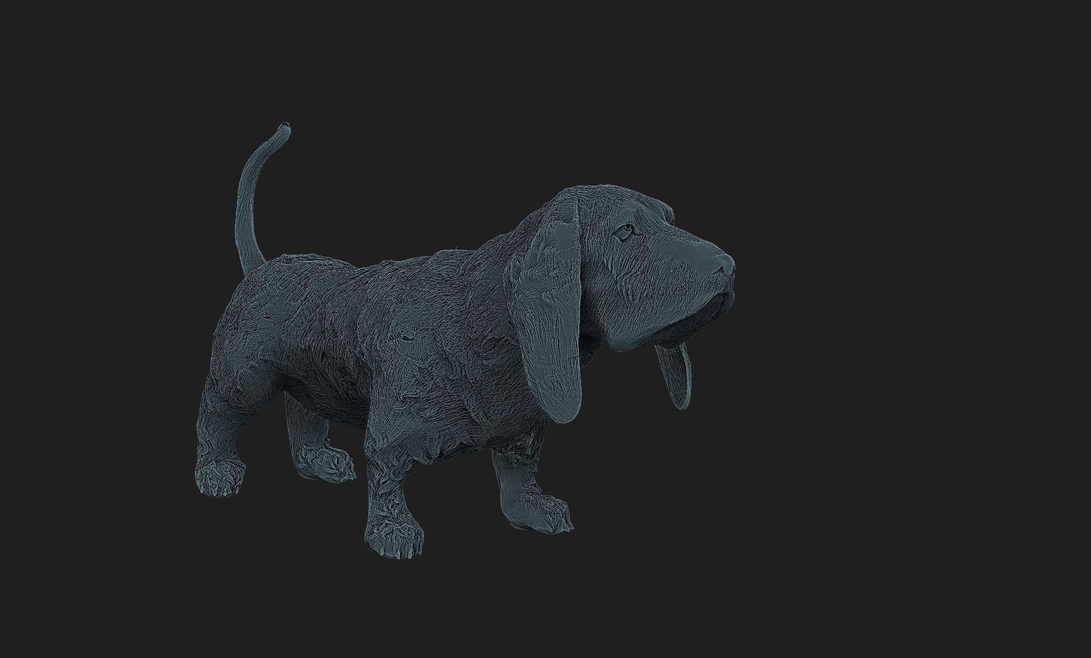 basset dog 3D print model_5