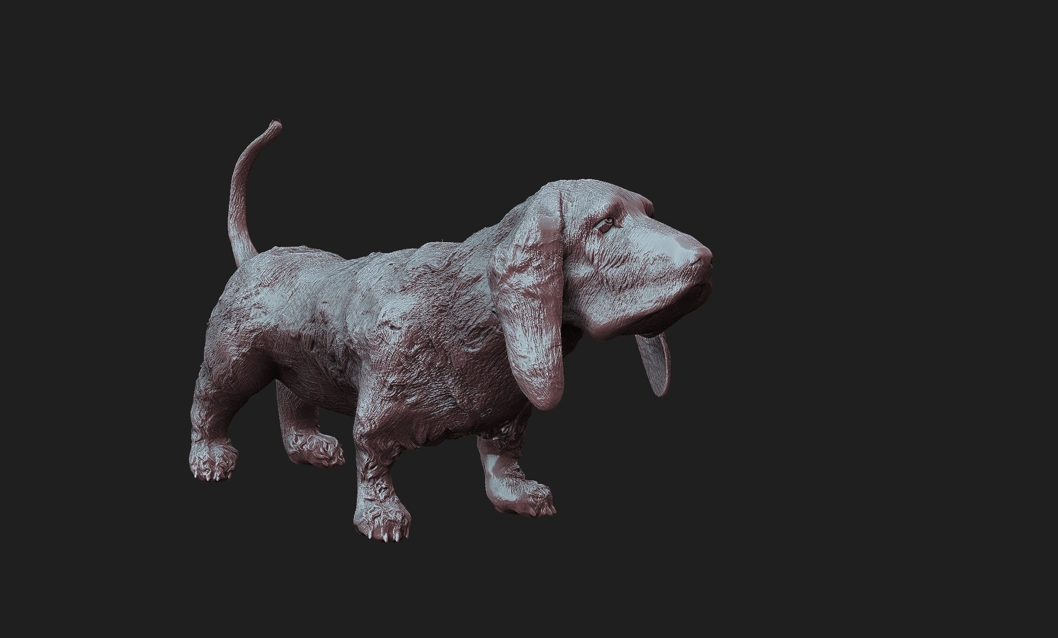 basset dog 3D print model_2