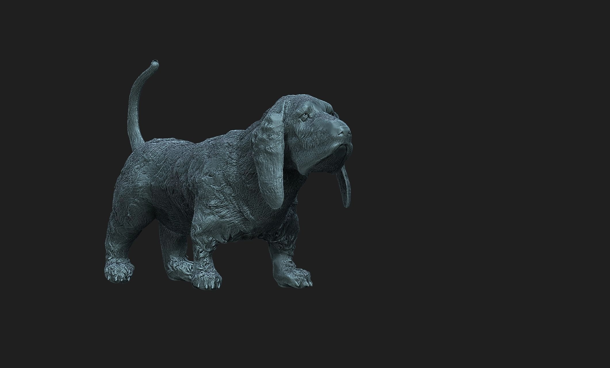 basset dog 3D print model_1