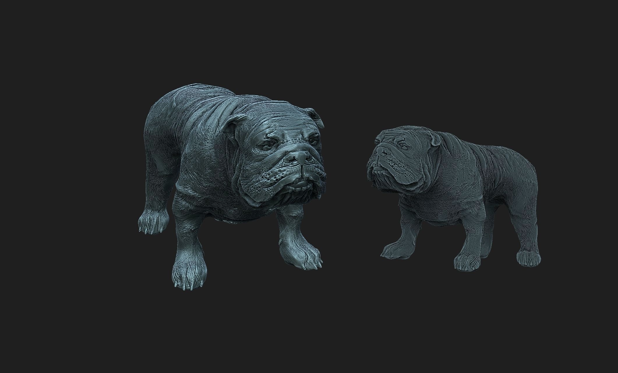 bulldog dog 3D print model_1