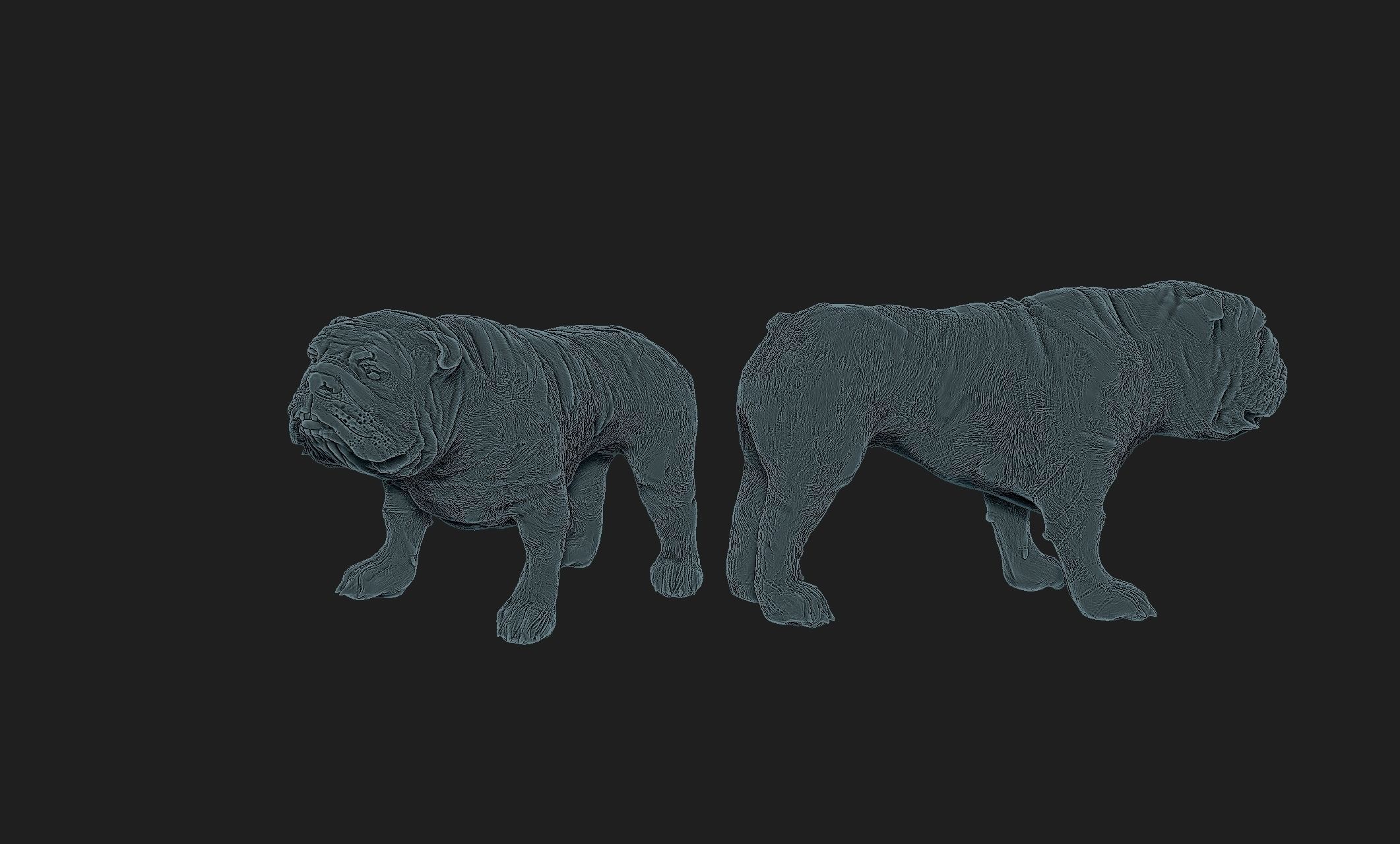 bulldog dog 3D print model_4