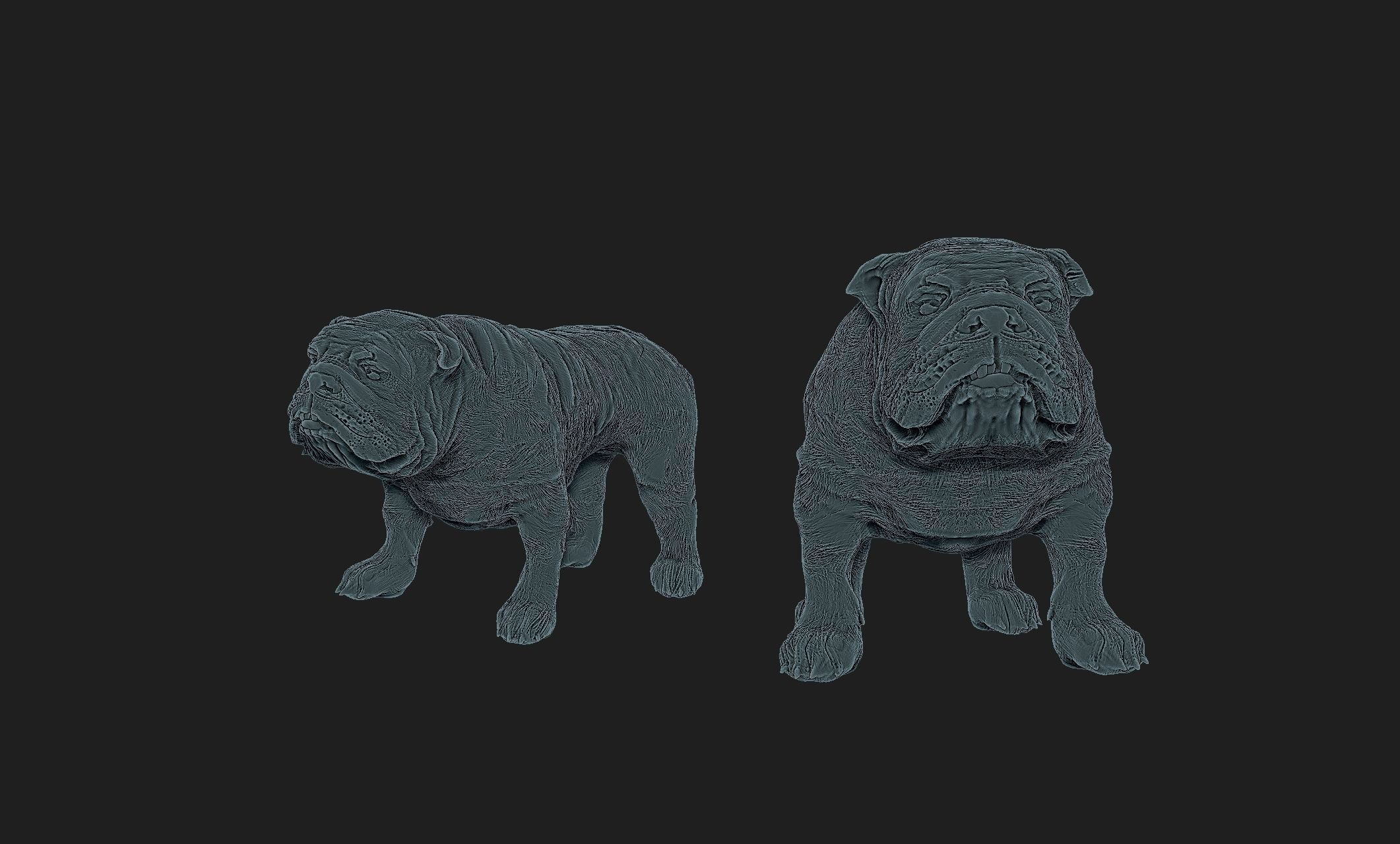 bulldog dog 3D print model_2