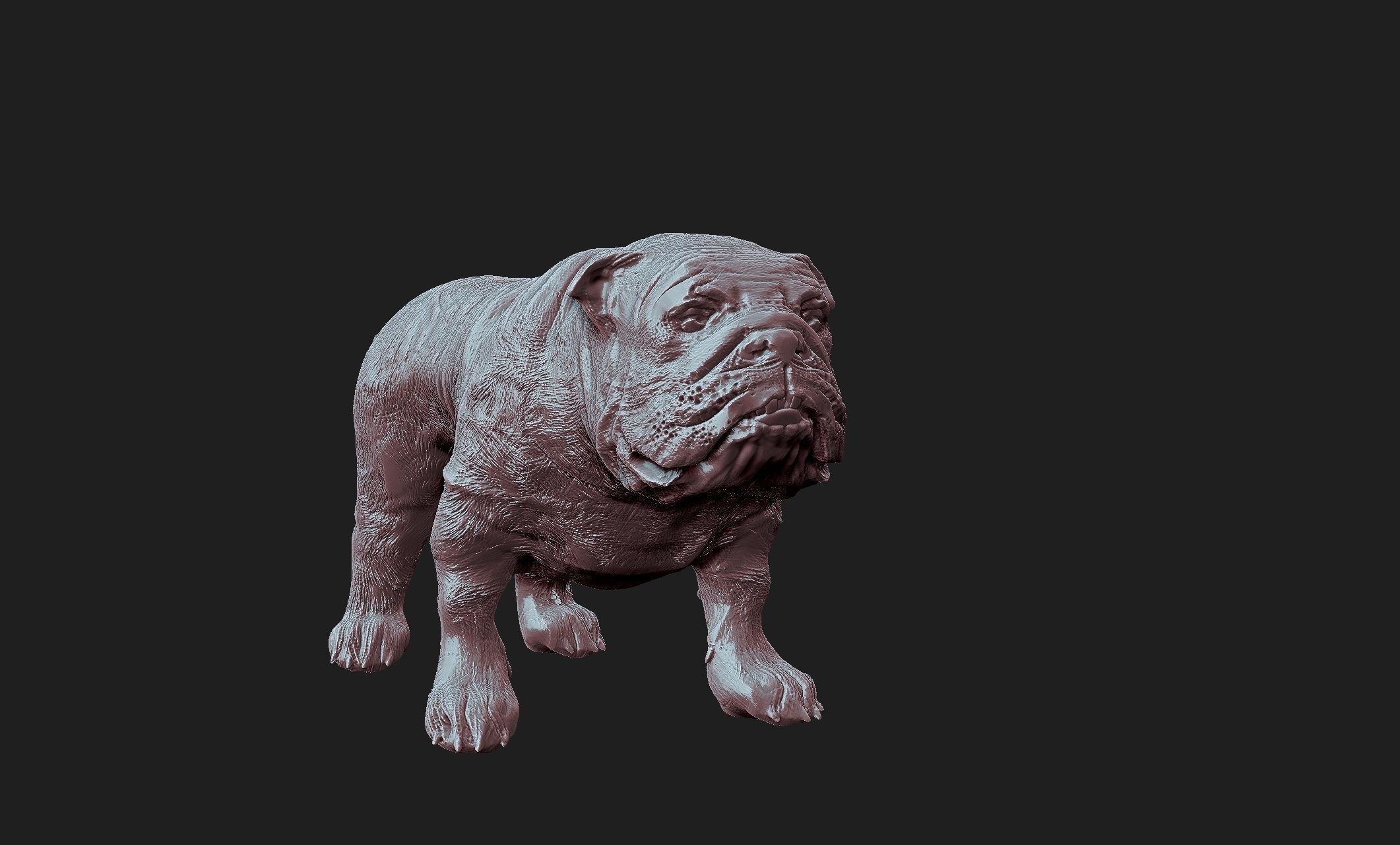 bulldog dog 3D print model_5