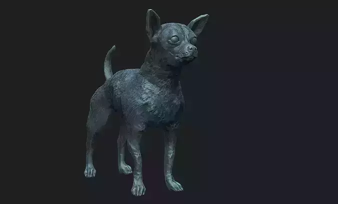 chihuahua dog