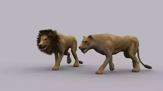 LION GAME READY ANIMATED MODEL Low-poly 3D model