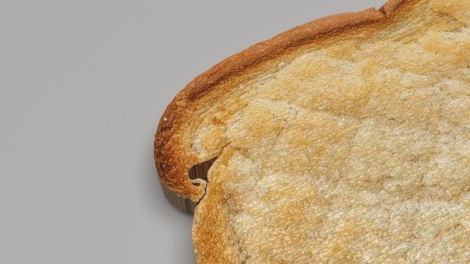 Toast 3D model 6
