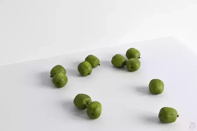 Kiwi  3D model