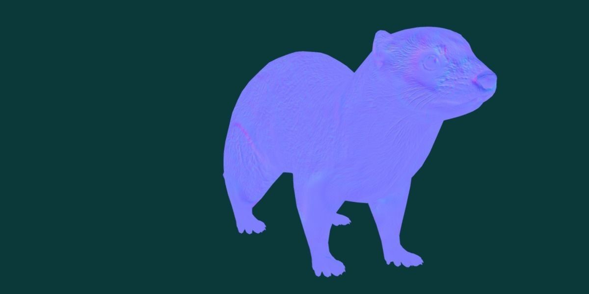 Black-Footed Ferret Animal Low-poly 3D model_25