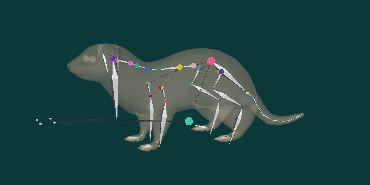 Black-Footed Ferret Animal Low-poly 3D model_19