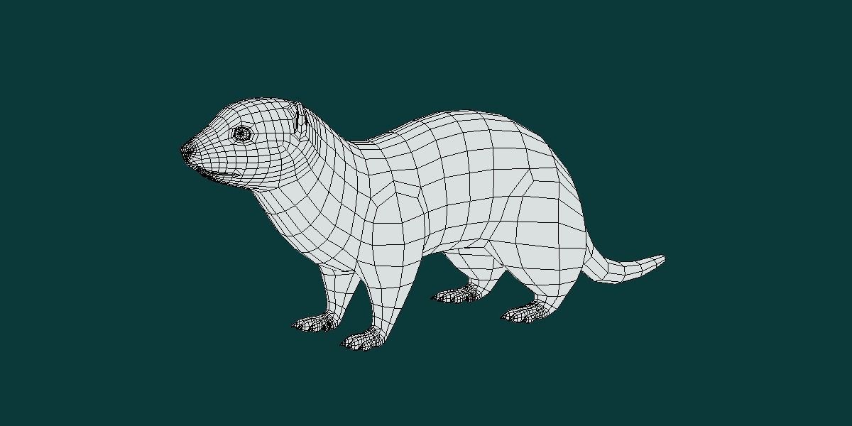 Black-Footed Ferret Animal Low-poly 3D model_10