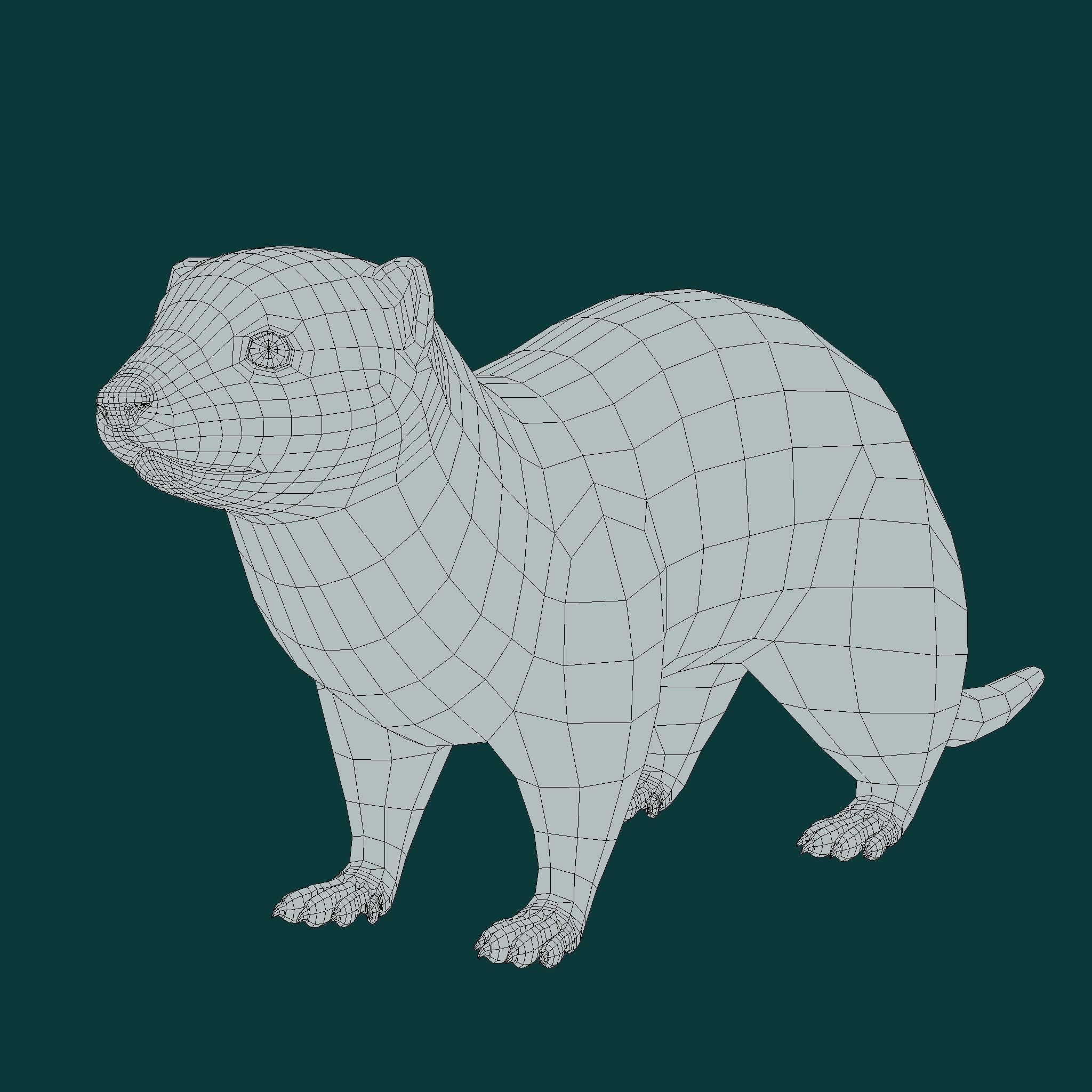 Black-Footed Ferret Animal Low-poly 3D model_18