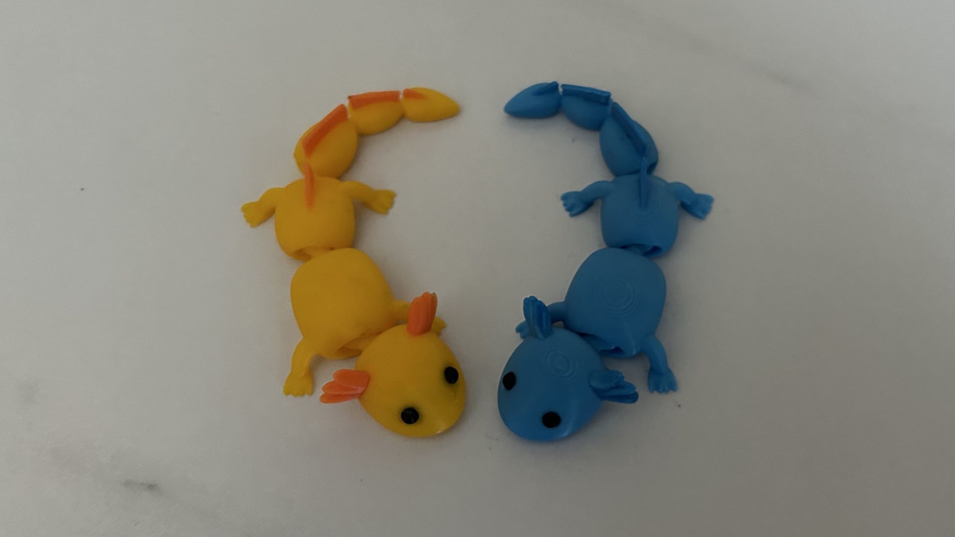 Cute Flexi Fidget Axolotl 3D print model_3