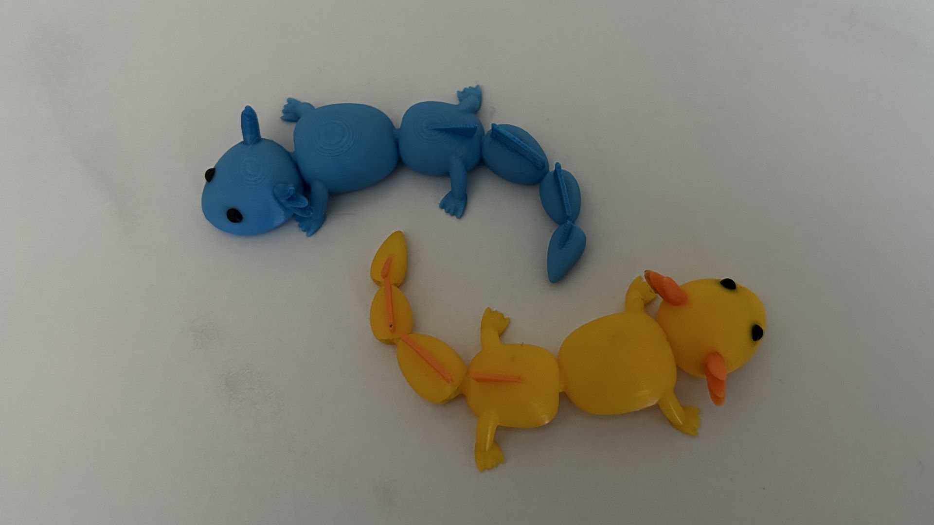 Cute Flexi Fidget Axolotl 3D print model_4