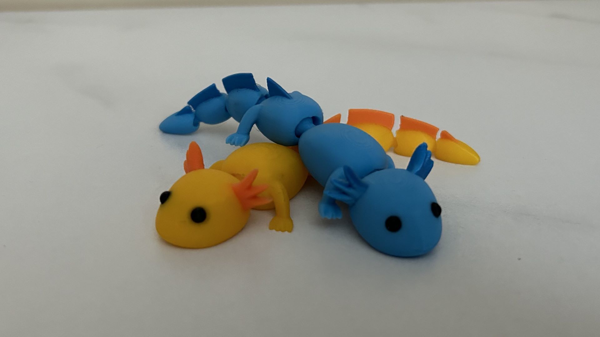 Cute Flexi Fidget Axolotl 3D print model_2