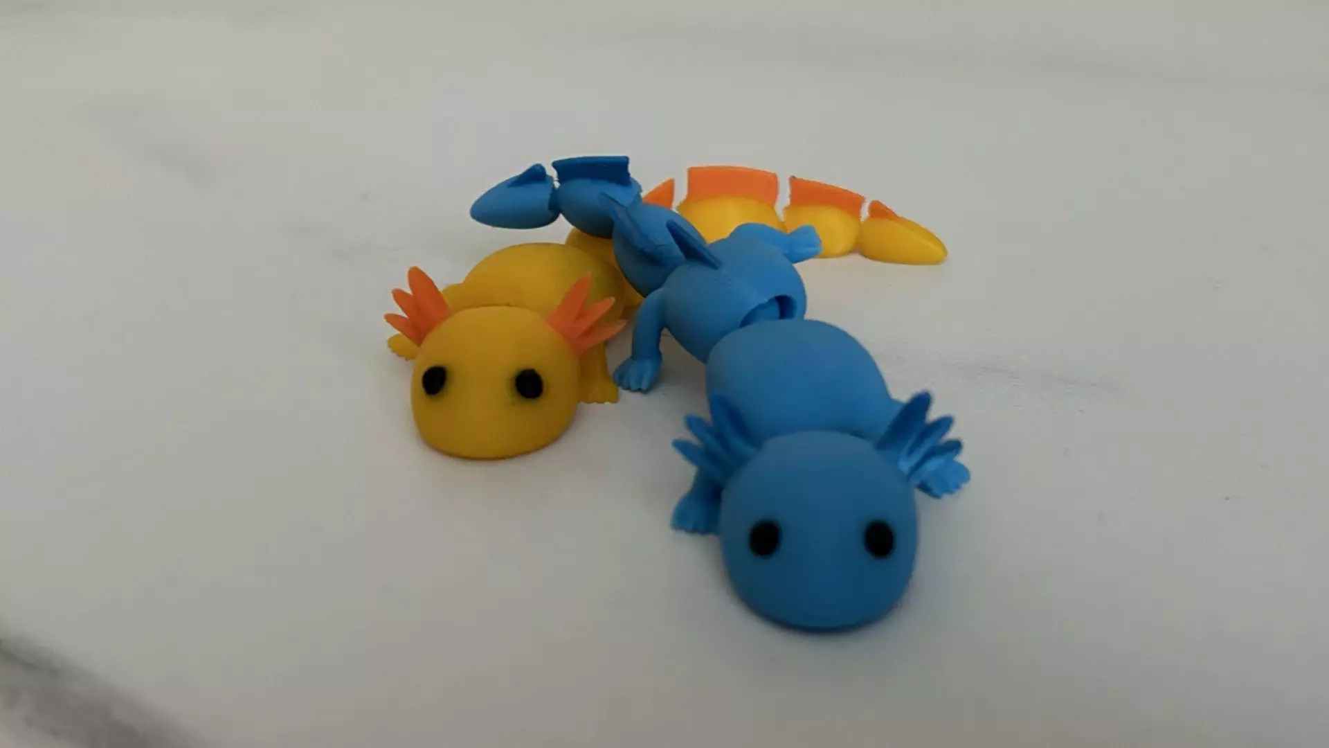 Cute Flexi Fidget Axolotl 3D print model_0