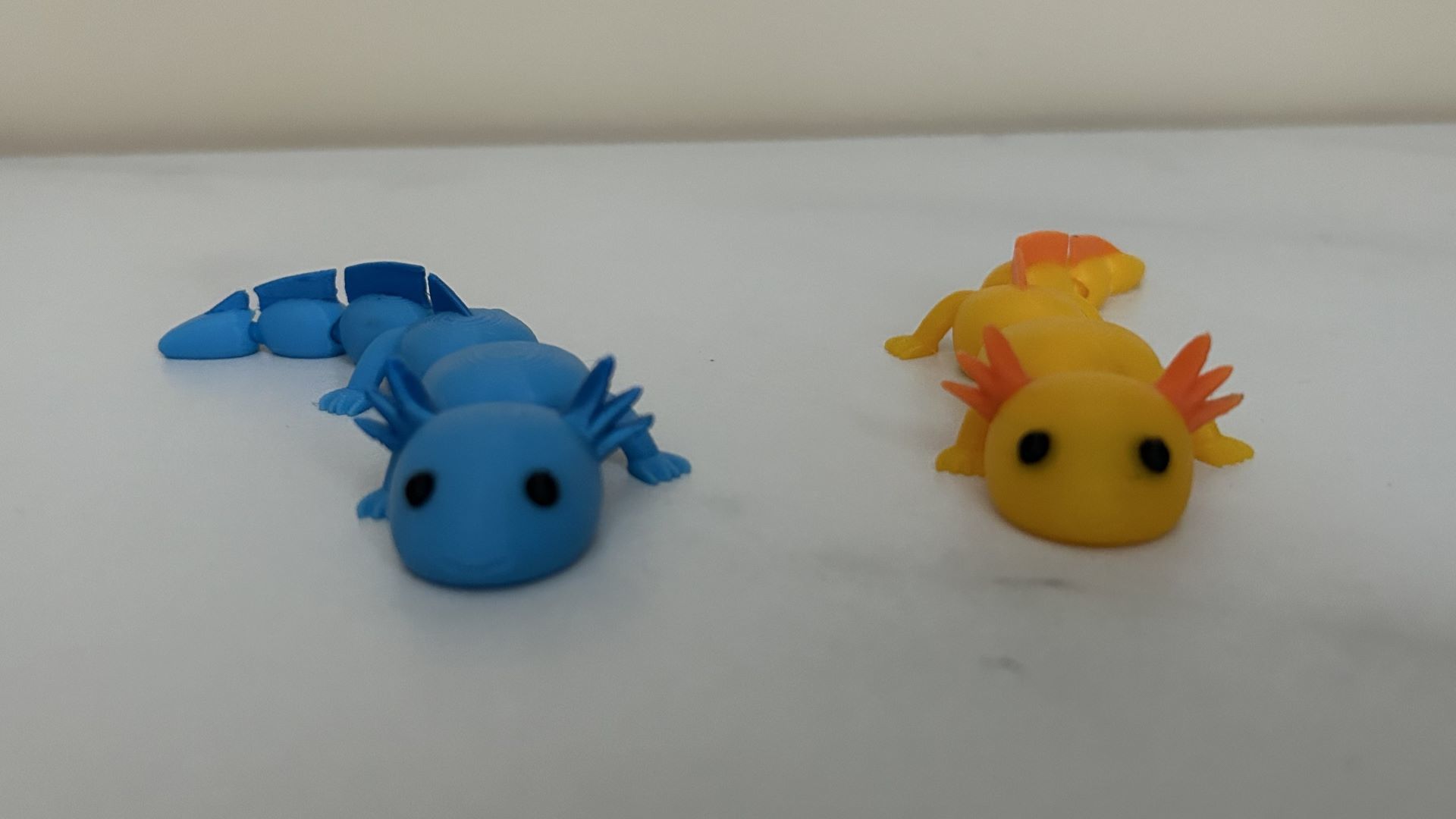 Cute Flexi Fidget Axolotl 3D print model_5
