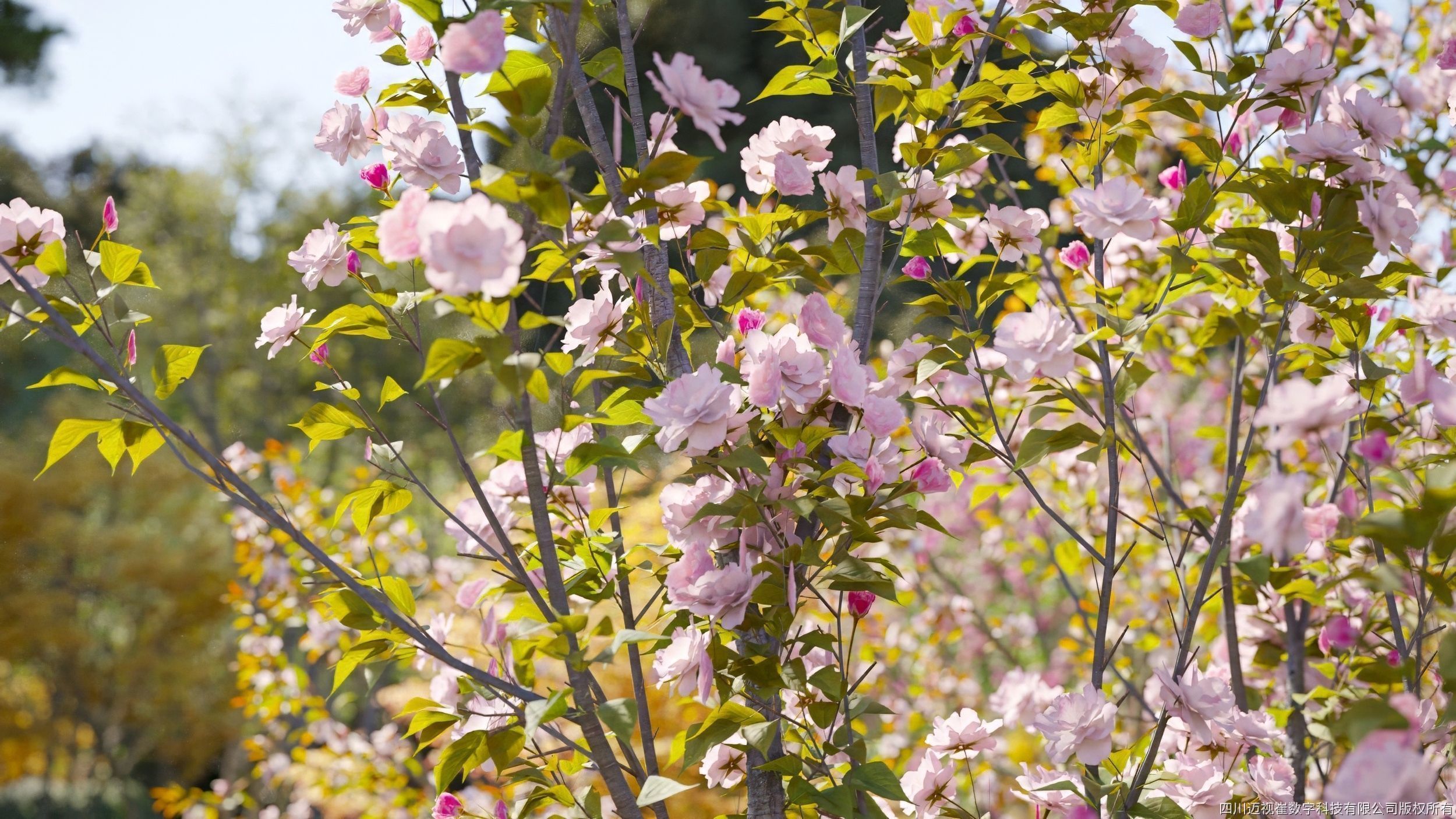 Maxtree Plant Models Vol 134 - Mesh 3D model_1